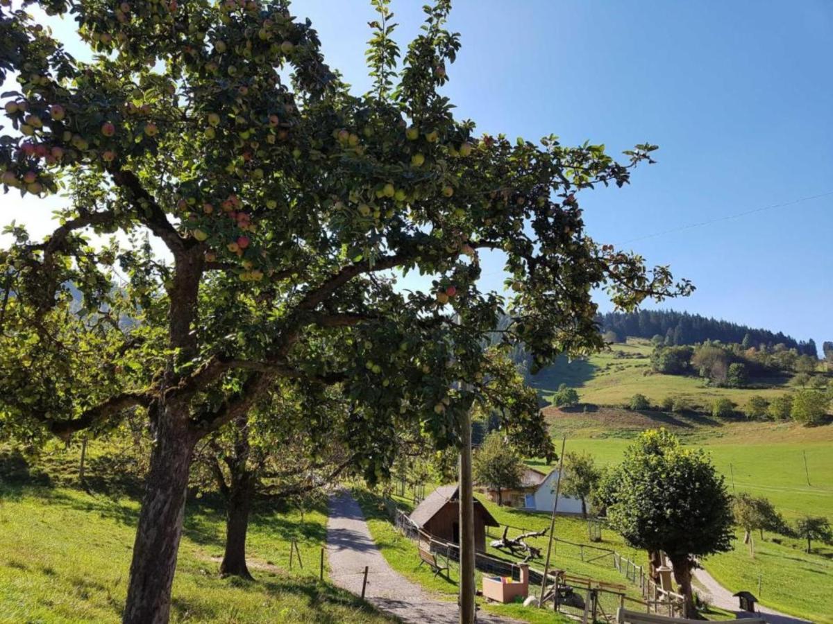 Ferienwohnungen Maierhof Oberried Oberried  Exterior foto